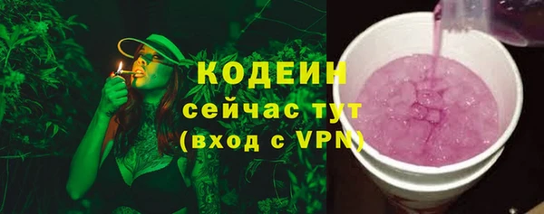 мдпв Каменногорск