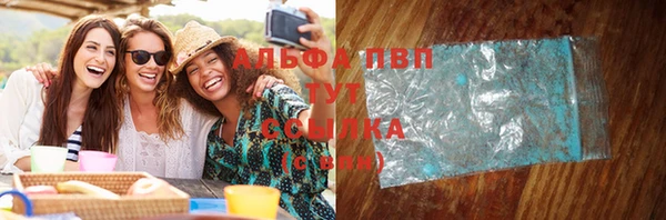 мдпв Каменногорск