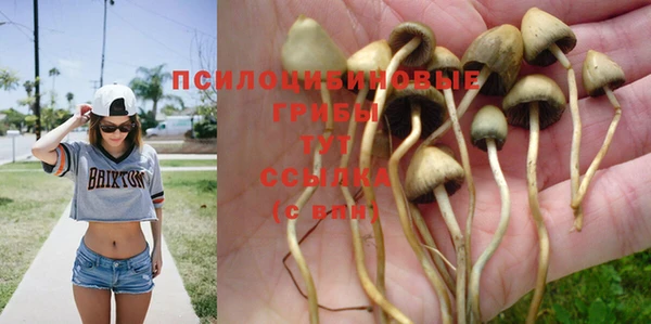 кокаин Карпинск