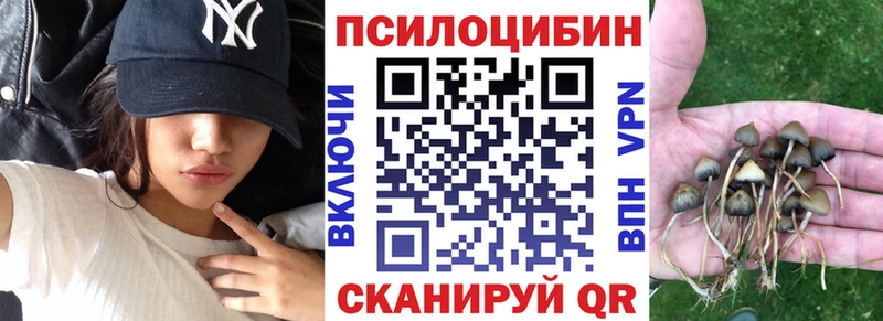 Купить закладки Дагестанские Огни Псилоцибиновые грибы Psilocybe